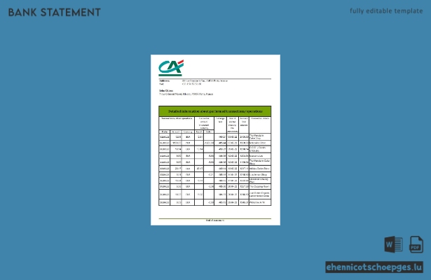 France Credite Agricole Kontoauszug Excel-Beispielvorschau